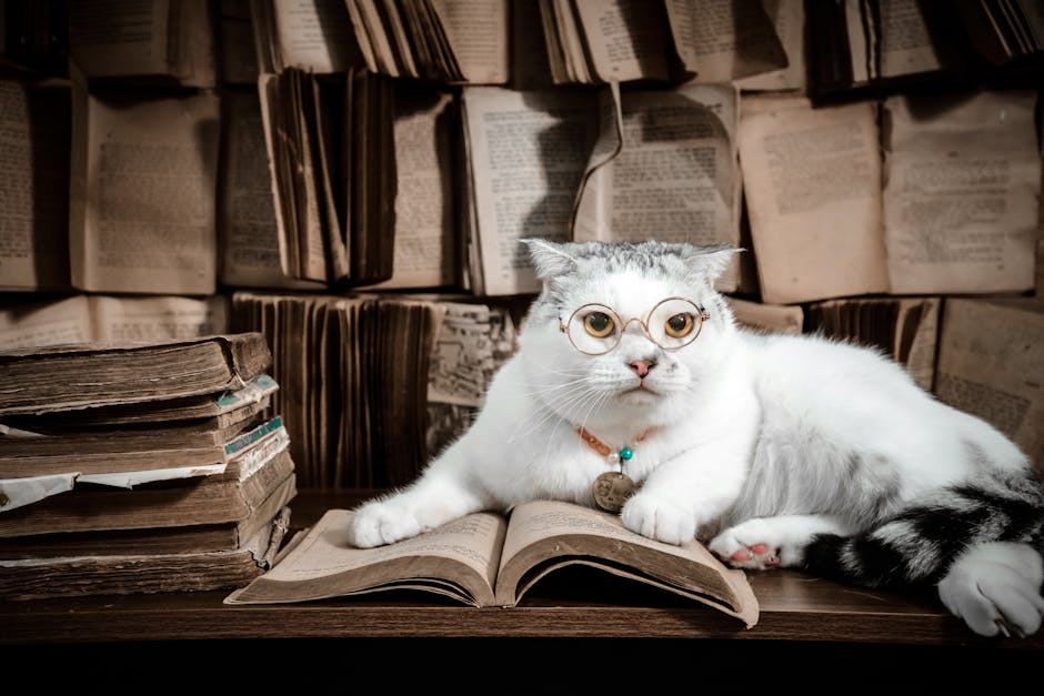 A white cat wearing glasses sits among old books, adding a whimsical intellectual vibe.
